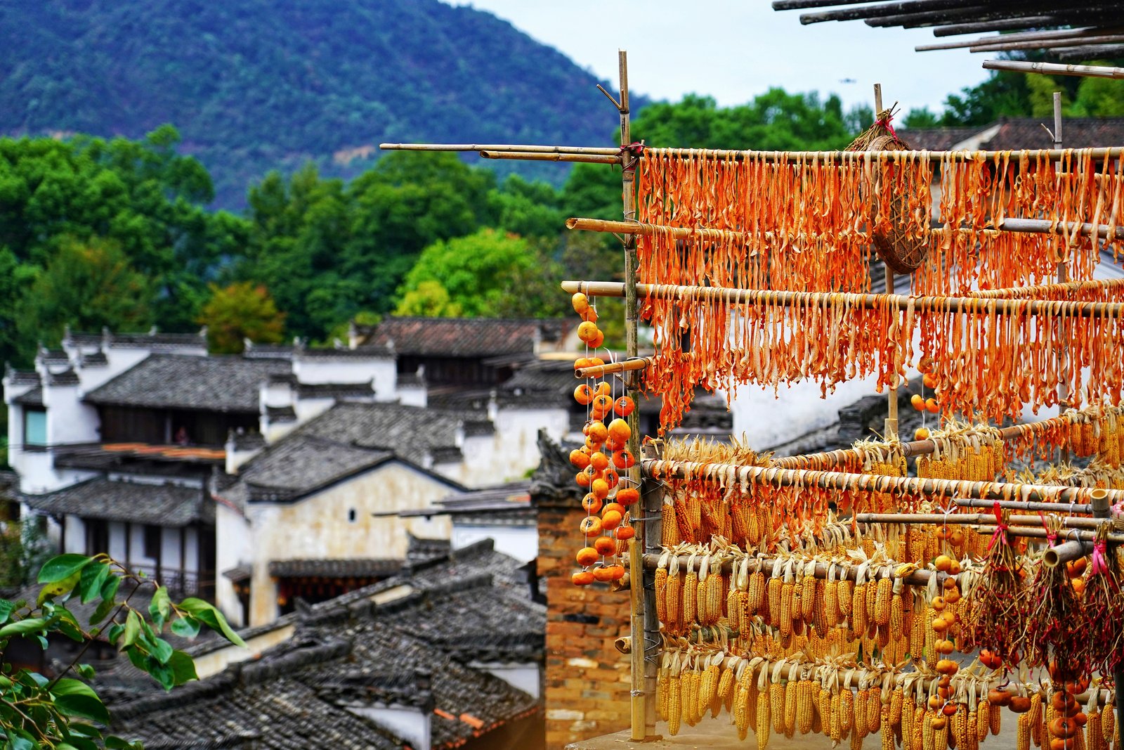 Shangrao